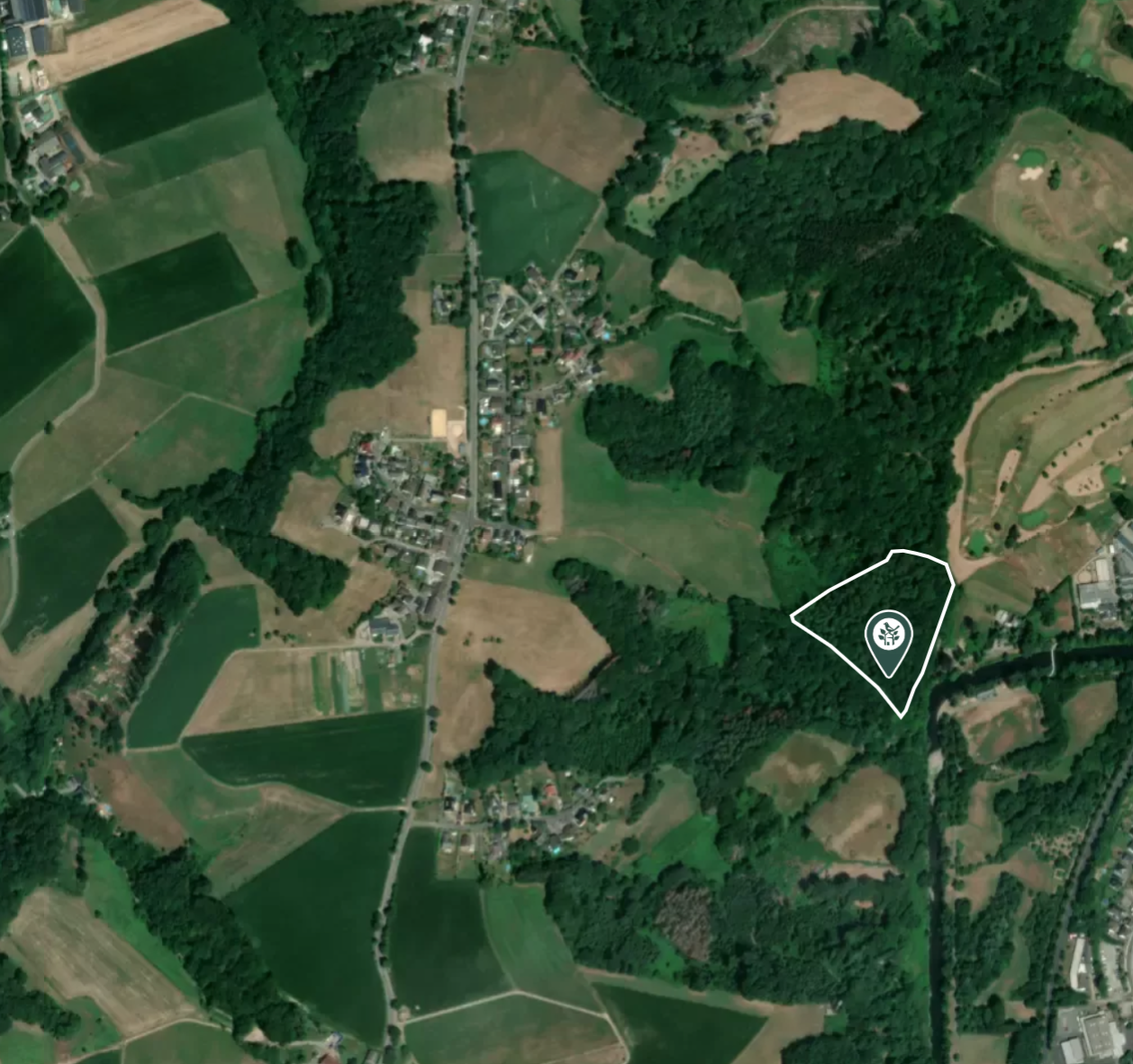 Waldprojekt BST Media GmbH